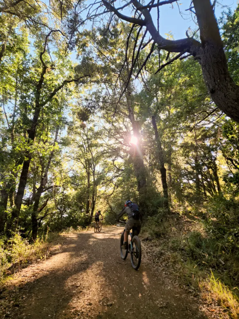 The 2025 Infestation Gravel traverses through Monte Bello, Skyline Ridge, Long Ridge and Saratoga Gap preserves of Mid Peninsula Regional Open Space. © Cyclocross Magazine