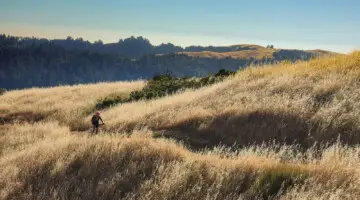 The 2025 Gravel Infestation traverses through Monte Bello, Skyline Ridge, Long Ridge and Saratoga Gap preserves of Mid Peninsula Regional Open Space. © Cyclocross Magazine