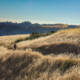 The 2025 Gravel Infestation traverses through Monte Bello, Skyline Ridge, Long Ridge and Saratoga Gap preserves of Mid Peninsula Regional Open Space. © Cyclocross Magazine
