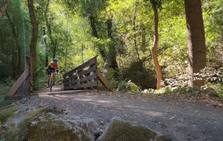 Clifford Lee descends the John Nicholas trail. The Roaring Mouse Infestation Gravel returns to Silicon Valley on September 26, 2026. © A. Yee / Cyclocross Magazine