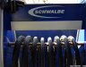 schwalbe