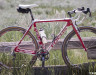 prenzlows-focus-mares-cx