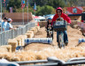 et-and-eliott-put-on-a-good-show-2015-clifbar-cykel-scramble-a-yee-cyclocross-magazine