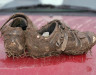 img3650thumbjpg